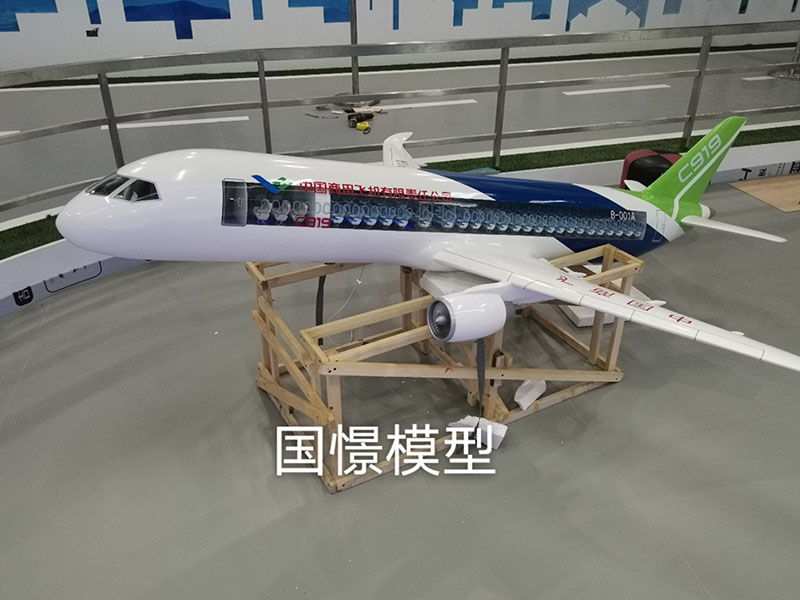万载县飞机模型